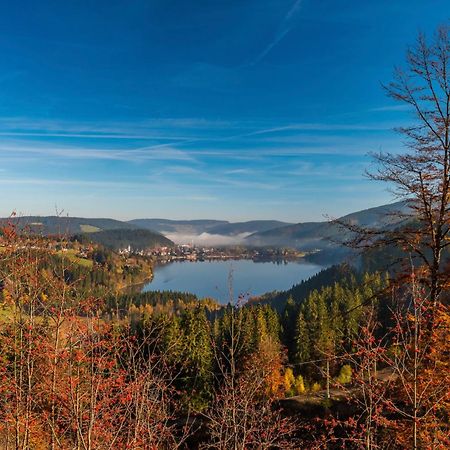 Fewo Schwarzwaldstern 2, Todtnau, 4 Schlafzimmer Екстер'єр фото