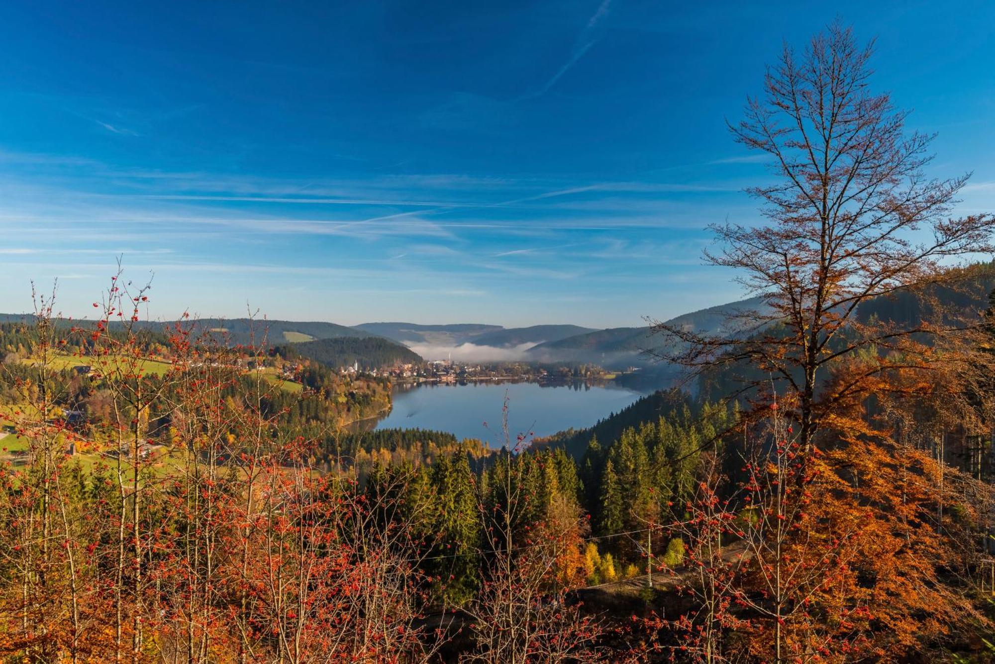 Fewo Schwarzwaldstern 2, Todtnau, 4 Schlafzimmer Екстер'єр фото