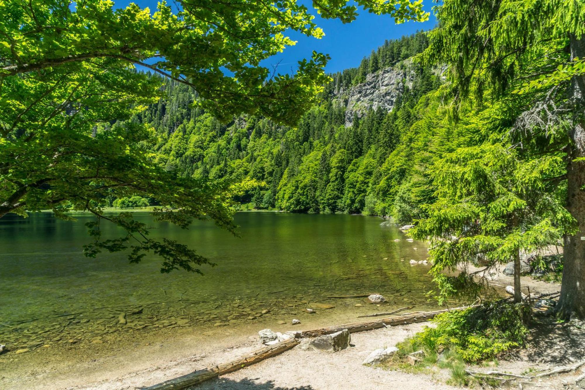 Fewo Schwarzwaldstern 2, Todtnau, 4 Schlafzimmer Екстер'єр фото
